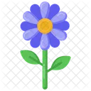 Flor de margarita  Icono