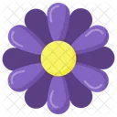 Flor de margarita  Icono