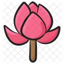 Flor De Peonia Flor Flor Icon