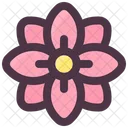 Primavera Flor De Primavera Flor Icon