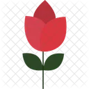 Flor Tulipa Vermelha Flor Ousada Tulipa Vibrante Ícone
