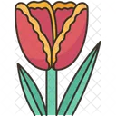 Flor de tulipán  Icono