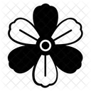 Flor decorativa  Icono