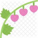 Flor del corazón roto  Icono