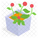 Flor Planta En Maceta Icono