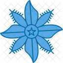 Flor Estelar Borragem Floral Icon