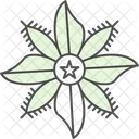 Flor Estelar Borragem Floral Icon