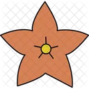 Flor Estrella Flor En Forma De Estrella Petalos Radiantes Icon