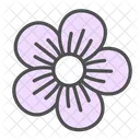 Flor Geranio Flor Icon