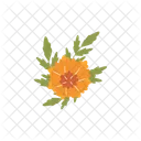 Flor Calendula Naranja Icono
