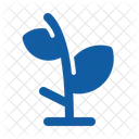 Flor Ecologia Naturaleza Icon