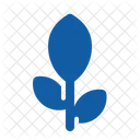 Naturaleza Hoja Flor Icon