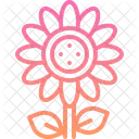 Flor  Ícone