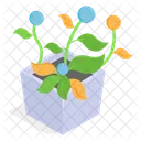 Planta Decorativa En Maceta Icono