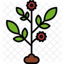 Planta De Flores Fecha Flor Icon