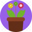 Planta De Flores Floracion Planta Bulbosa Icon