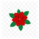 Flor De Poinsetia Ícone