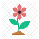 Flor Hoja Floral Icon