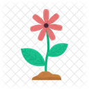 Flor Hoja Floral Icon