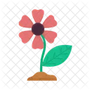 Flor Hoja Floral Icon