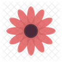 Flor Hoja Floral Icon