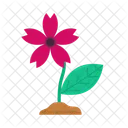 Flor Hoja Floral Icon