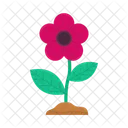 Flor Hoja Floral Icon