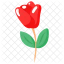 Amor Rosa Flor Icon