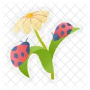 Flor  Icono
