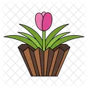 Flor De Tulipa Flor Tulipa Ícone