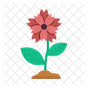 Flor Folha Floral Icon