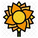 Flora-floral-flower-nature-spring-sunflower  Icon