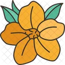 Floral Blossom Yellow Icon