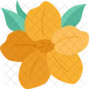 Floral Blossom Yellow Icon