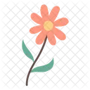 Floral  Icon