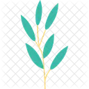 Floral Branch  Icon