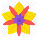 Floral Design  Icon