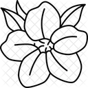 Floral  Icono