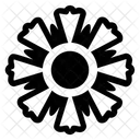 Floral Pattern  Icon