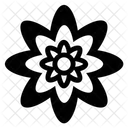 Floral Pattern  Icon