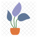 Floral Plant  Icon