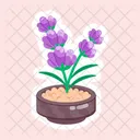 Floral Pots  Icon
