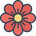 Florecer  Icono