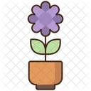 Flores  Icon