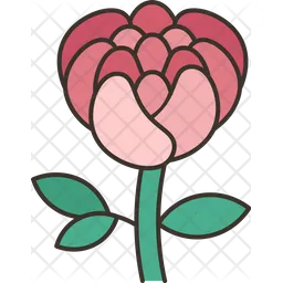 Flores  Icono