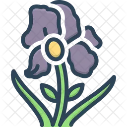 Flores de iris  Icono