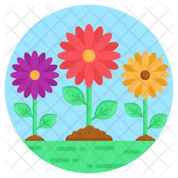 Flores de margarita  Icono