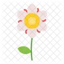 Floral Flor Ecologia Ícone