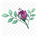 Flores Flores Malezas Icon