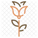 Paisaje Estetico Tranquilo Icono